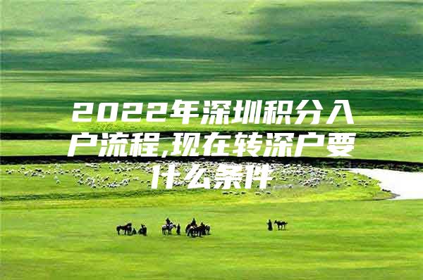 2022年深圳积分入户流程,现在转深户要什么条件