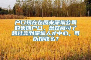 户口现在在原来深圳公司的集体户口，现在离司了想挂靠到深圳人才中心，可以接收么？