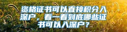 资格证书可以直接积分入深户，看一看到底哪些证书可以入深户？