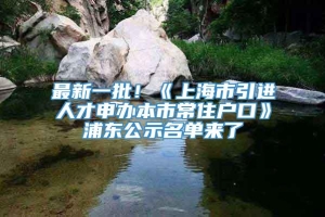 最新一批！《上海市引进人才申办本市常住户口》浦东公示名单来了