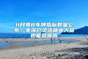 11月粤B车牌指标数量公布！非深户灵活就业人员也能参保啦