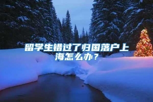 留学生错过了归国落户上海怎么办？