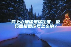 网上办理深圳居住证，数码照相图像号怎么填？