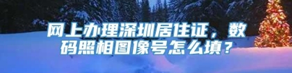 网上办理深圳居住证，数码照相图像号怎么填？