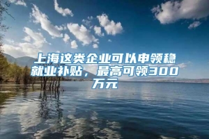 上海这类企业可以申领稳就业补贴，最高可领300万元