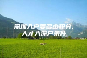 深圳入户要多少积分,人才入深户条件