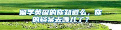 留学英国的你知道么，你的档案去哪儿了？