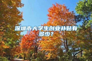 深圳市大学生创业补贴有多少？