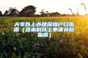 大专以上办理深圳户口指南（含本科以上申请补贴指南）