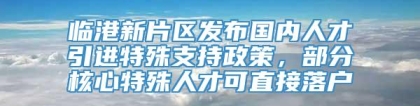 临港新片区发布国内人才引进特殊支持政策，部分核心特殊人才可直接落户