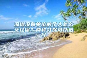 深圳没有单位的个人怎么交社保？两种社保可以选择