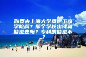 你要去上海大学悉尼工商学院啊？那个学校出钱就能进去吗？专科的能进不？