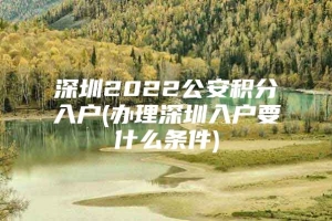 深圳2022公安积分入户(办理深圳入户要什么条件)