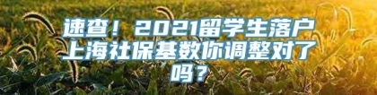 速查！2021留学生落户上海社保基数你调整对了吗？