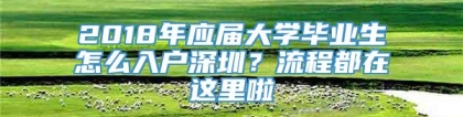 2018年应届大学毕业生怎么入户深圳？流程都在这里啦