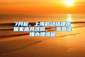 7月起，上海启动组建医保家庭共济网，一张图读懂办理流程