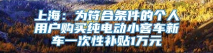 上海：为符合条件的个人用户购买纯电动小客车新车一次性补贴1万元