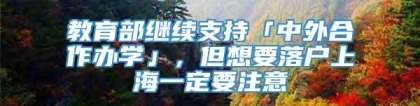 教育部继续支持「中外合作办学」，但想要落户上海一定要注意