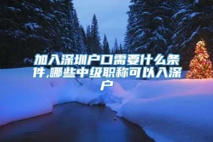 加入深圳户口需要什么条件,哪些中级职称可以入深户