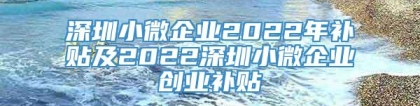 深圳小微企业2022年补贴及2022深圳小微企业创业补贴