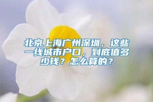 北京上海广州深圳，这些一线城市户口，到底值多少钱？怎么算的？