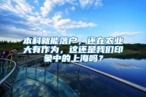 本科就能落户，还在农业大有作为，这还是我们印象中的上海吗？