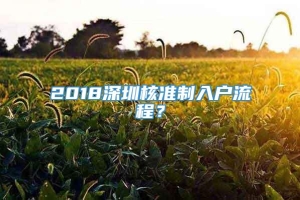 2018深圳核准制入户流程？