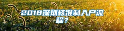 2018深圳核准制入户流程？