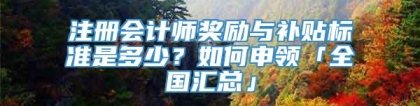 注册会计师奖励与补贴标准是多少？如何申领「全国汇总」
