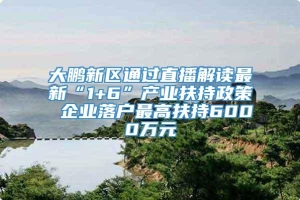 大鹏新区通过直播解读最新“1+6”产业扶持政策 企业落户最高扶持6000万元