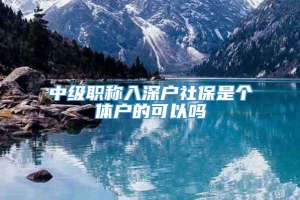 中级职称入深户社保是个体户的可以吗