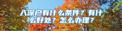 入深户有什么条件？有什么好处？怎么办理？