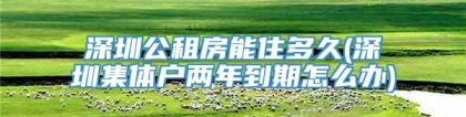 深圳公租房能住多久(深圳集体户两年到期怎么办)