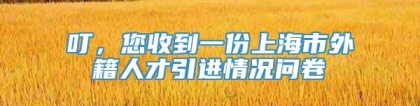 叮，您收到一份上海市外籍人才引进情况问卷→