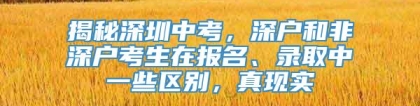 揭秘深圳中考，深户和非深户考生在报名、录取中一些区别，真现实