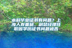 本科毕业证书有问题？上海人寿董秘、副总经理任职因学历证书问题被否