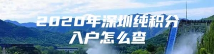 2020年深圳纯积分入户怎么查