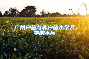 广州户籍与非户籍小学入学的不同