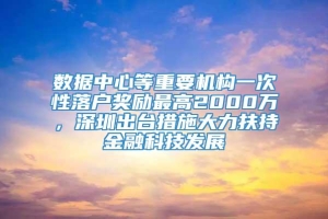 数据中心等重要机构一次性落户奖励最高2000万，深圳出台措施大力扶持金融科技发展