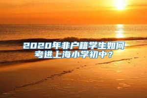 2020年非户籍学生如何考进上海小学初中？