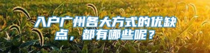 入户广州各大方式的优缺点，都有哪些呢？