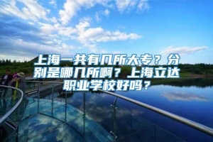 上海一共有几所大专？分别是哪几所啊？上海立达职业学校好吗？