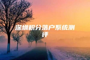 深圳积分落户系统测评