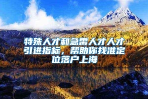 特殊人才和急需人才人才引进指标，帮助你找准定位落户上海