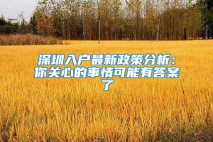 深圳入户最新政策分析：你关心的事情可能有答案了