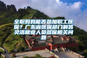 全职妈妈能否参加职工医保？广东省医保部门解答灵活就业人员参保相关问题