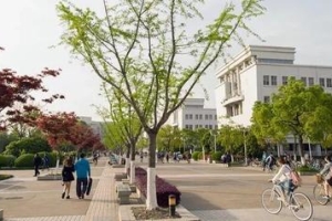 上海大学2022届本科毕业生主要保研院校