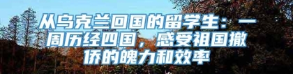 从乌克兰回国的留学生：一周历经四国，感受祖国撤侨的魄力和效率