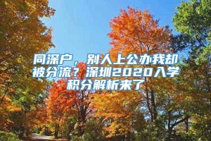 同深户，别人上公办我却被分流？深圳2020入学积分解析来了