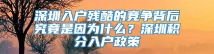 深圳入户残酷的竞争背后究竟是因为什么？深圳积分入户政策